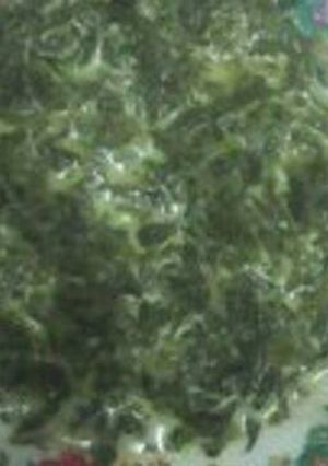 A picture of Managu (solanum psedocapsicum leaves).