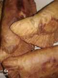 Fried meat pie