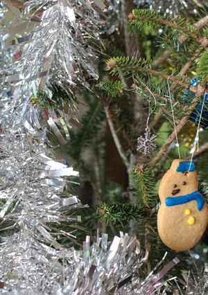 A picture of Christmas Ornament Spice Cookies.