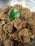 Dendeng ragi pedas