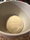 Basic Yeast Dough