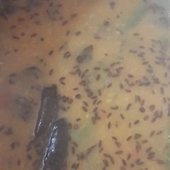 A picture of Hyderabadi khatti dal.