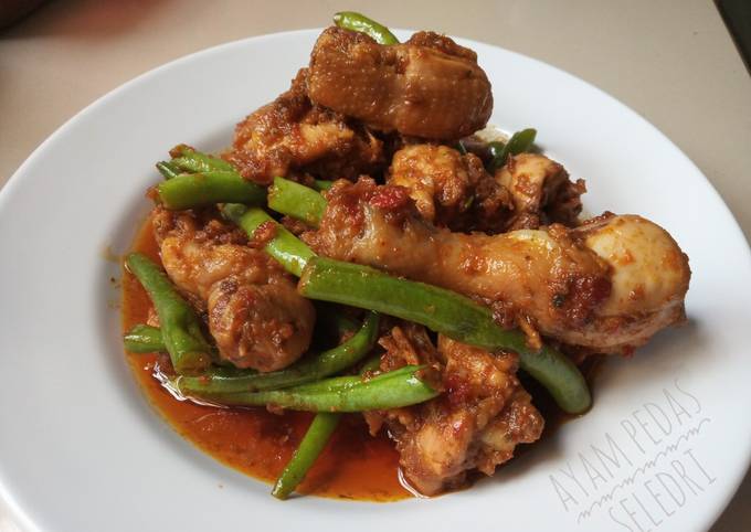  Resep  Ayam Pedas  Seledri oleh Bintu Tsaniyah Cookpad