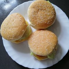 A picture of Homemade Burger.