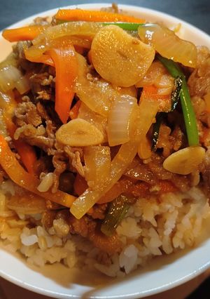 牛肉蓋飯 的食譜成品照片