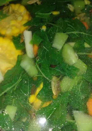 Foto resep Bening bayem seger Free Msg