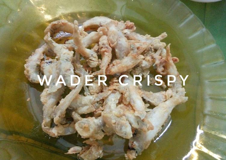 Resep Wader Crispy yang Lezat