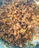 Mắm tép chưng thịt