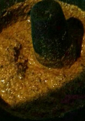 Una foto de Salsa de chicatana