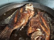 Una foto de pescado mojarra