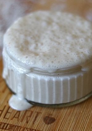 A picture of Sourdough starter 🥖 🐾.