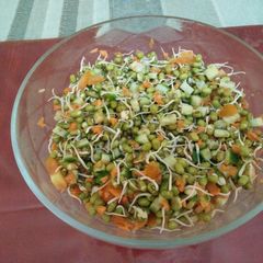 A picture of Sprouts salad.