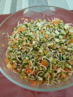 A picture of Sprouts salad.