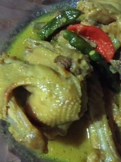 Foto resep Opor ayam kampung