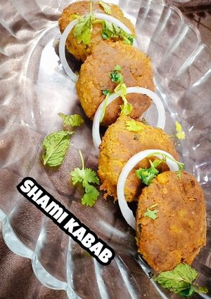 A picture of Shami kabab.
