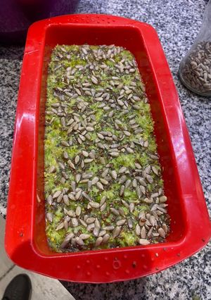 Una foto de Pan de Brócoli