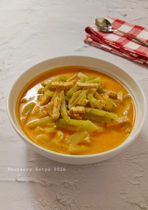 Foto resep Labu Siam Tempe Masak Santan
