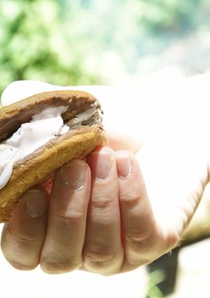 A picture of The easiest, tastiest S'mores.