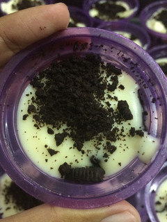 Foto resep Cheese Cake Oreo Pudding