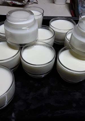 Hình của món Yaourt bất bại.