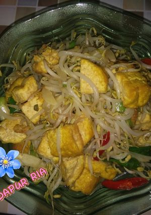 Foto resep Tumis toge + tahu