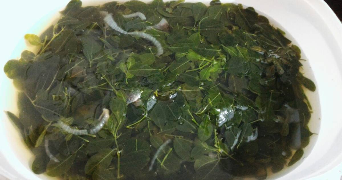 Resep Sayur Daun Kelor Super Simpel Oleh Rynari Cookpad 5196