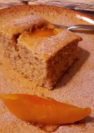 Barackos lepény recept fotója