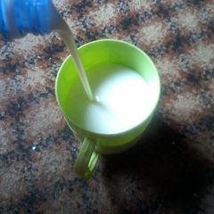A picture of My home made yoghurt # kanostate.