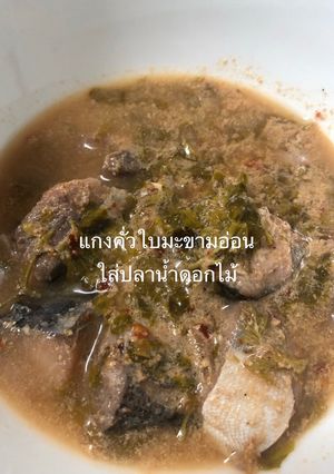 รูปของ แกงคั่วใบมะขามอ่อนใส่ปลาน้ำดอกไม้