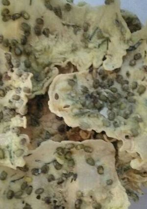Foto resep Peyek kacang ijo