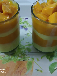 મેંગો કસ્ટર્ડ (Mango Custard Recipe In Gujarati) રેસીપી મુખ્ય ફોટો