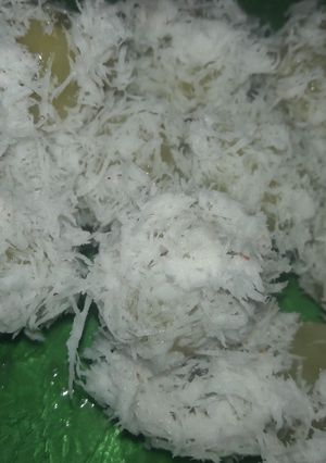 Foto resep Klepon Muncrat