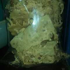รูปของ Peyek kacang ijo gurih dan renyah