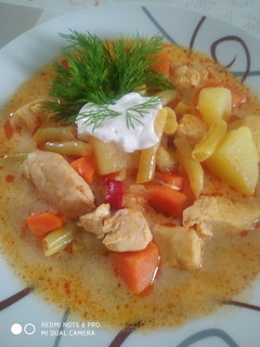 Palóc leves, csirkemellből recept fotója