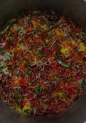 A picture of Chicken biryani.
