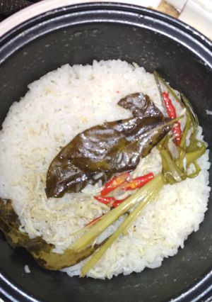 Foto resep Nasi liwet teri medan ricecooker