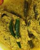Hilsa Bhapa