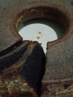 Foto resep Bolu ketan hitam