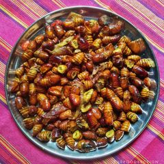 A picture of Silkworm pupae / polu / leta.