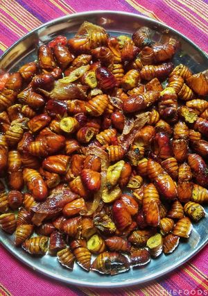 A picture of Silkworm pupae / polu / leta.