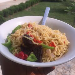 A picture of Noodles.