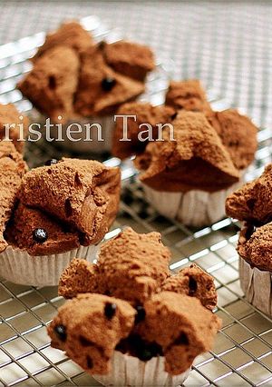Foto resep Bolu Kukus Mekar Soda Chocochips No BP resep jadoel