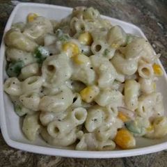 A picture of White Sauce Pasta.
