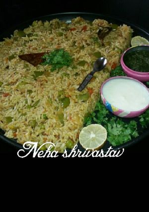 A picture of Veg biryani.