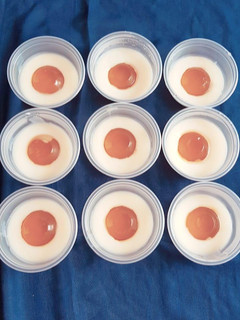 Foto resep Puding Telor Ceplok