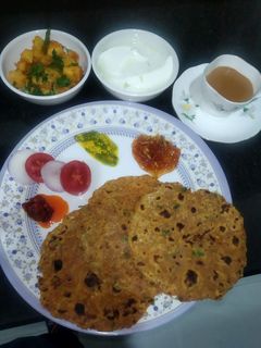 દૂધી નાં થેપલા (Dudhi Thepla Recipe In Gujarati) રેસીપી મુખ્ય ફોટો