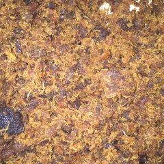 A picture of Dambun nama.