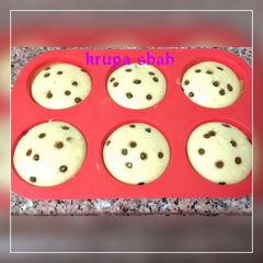 A picture of Muffins.