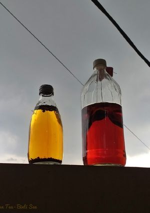 Foto resep Sun Tea