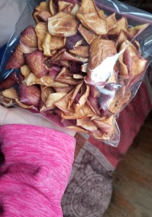 A picture of Cinnamon & Sugar Baked Apple Peel Chips.